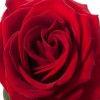 РОЗИ - Най-продаваният букет - сърце от рози и бонбони